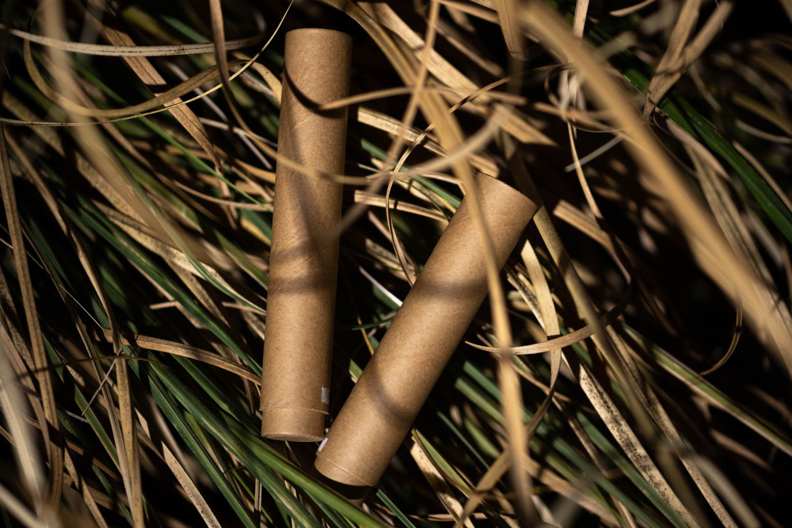 Two cylindrical, eco-friendly cannabis packaging tubes made from biodegradable brown material, placed among dried and green grass. The natural setting highlights the sustainable design, emphasizing environmentally conscious packaging solutions.